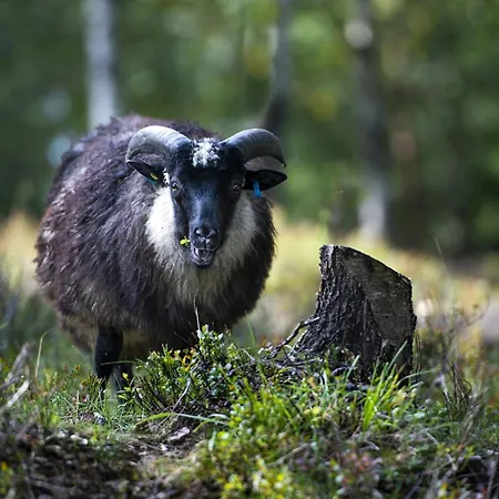 Modern And Inviting In Valdres Holiday home