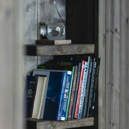 Modern And Inviting In Valdres Semesterbostad